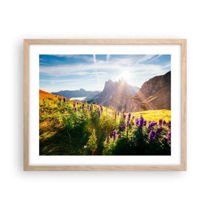 Poster in light oak frame - Secret Life of Herbs - 50x40 cm