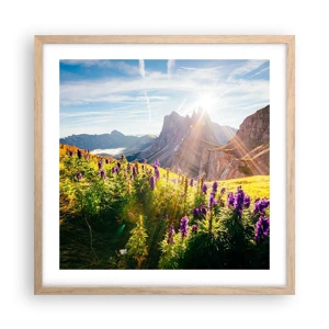 Poster in light oak frame - Secret Life of Herbs - 50x50 cm