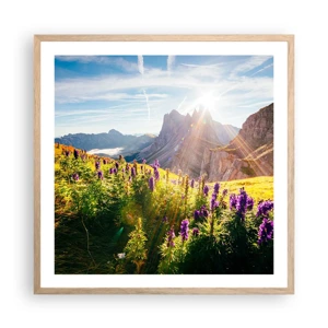 Poster in light oak frame - Secret Life of Herbs - 60x60 cm