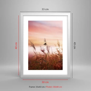 Poster in white frmae - Blowing in the Wind - 30x40 cm