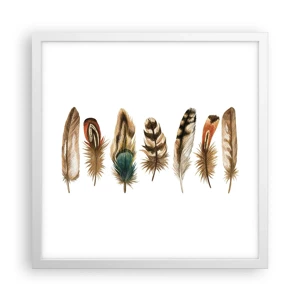 Poster in white frmae - Feather Variation - 40x40 cm