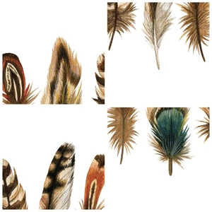 Poster in white frmae - Feather Variation - 40x40 cm