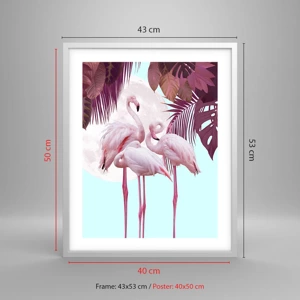 Poster in white frmae - Three Bird Graces - 40x50 cm