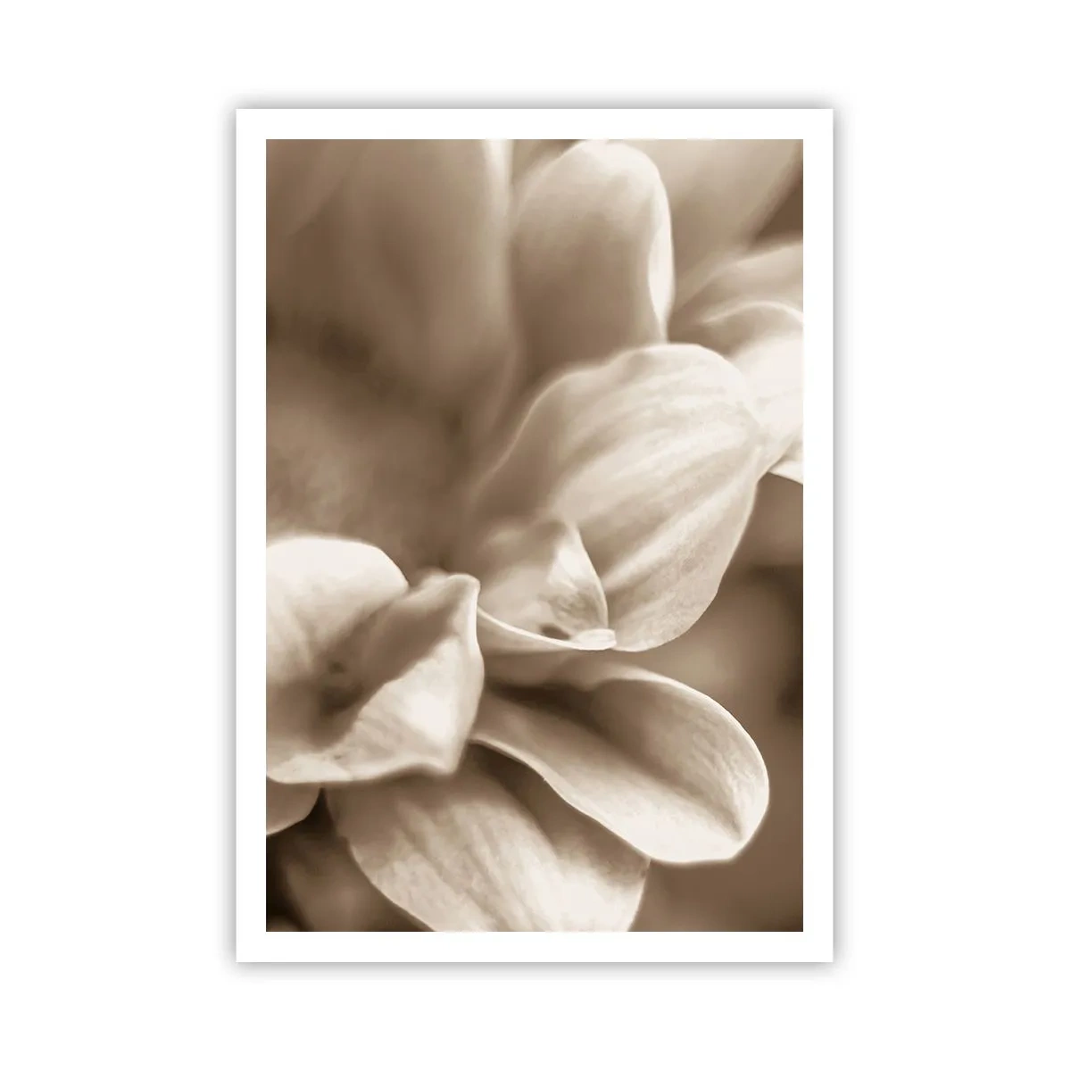 Poster - Soft as a Smile - 70x100 cm