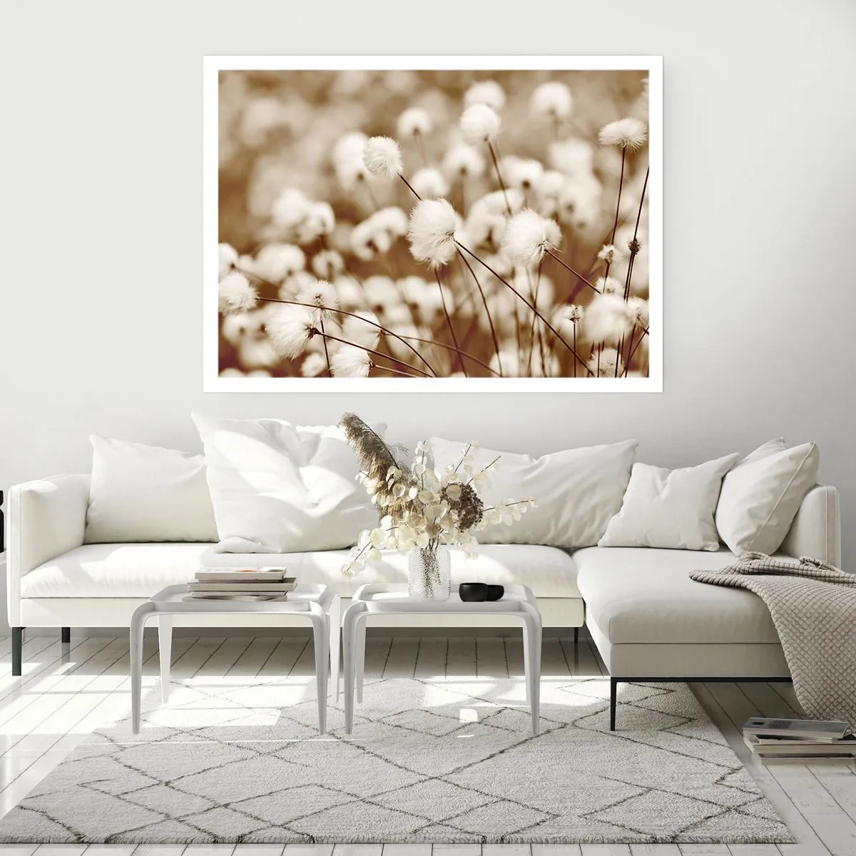 Poster - Fluffy field - 50x40 cm