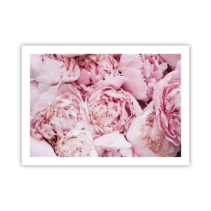 Poster - Cuddly and Fragrant - 70x50 cm