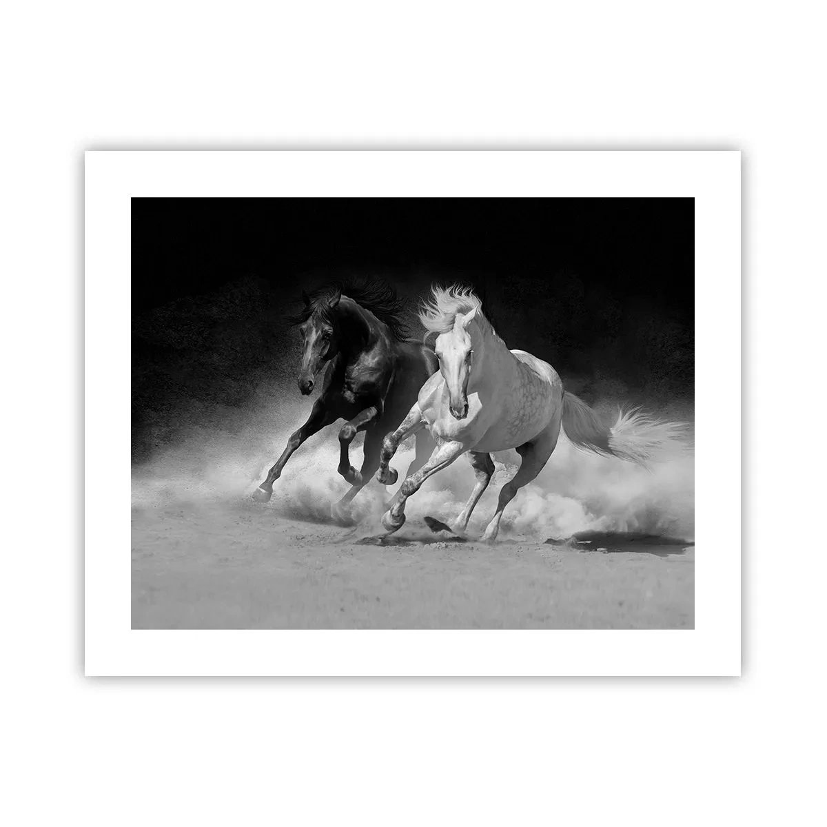 Poster - Gallop of Freedom - 50x40 cm