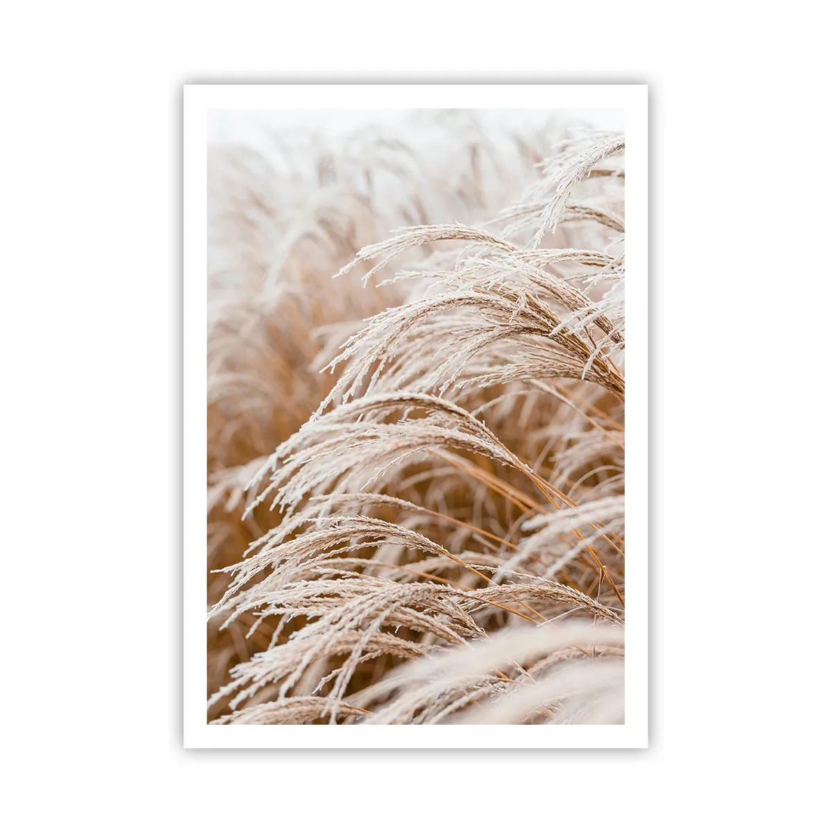 Poster - Bow to the Autumn Sun - 70x100 cm