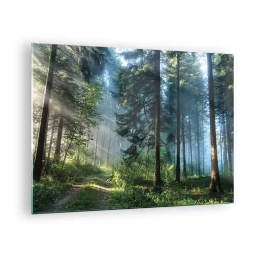 Glass picture - A forest path in the morning mist among tall trees - 70x50cm - Radiant at Dawn - Modern wall decoration for the living room and bedroom ARTTOR