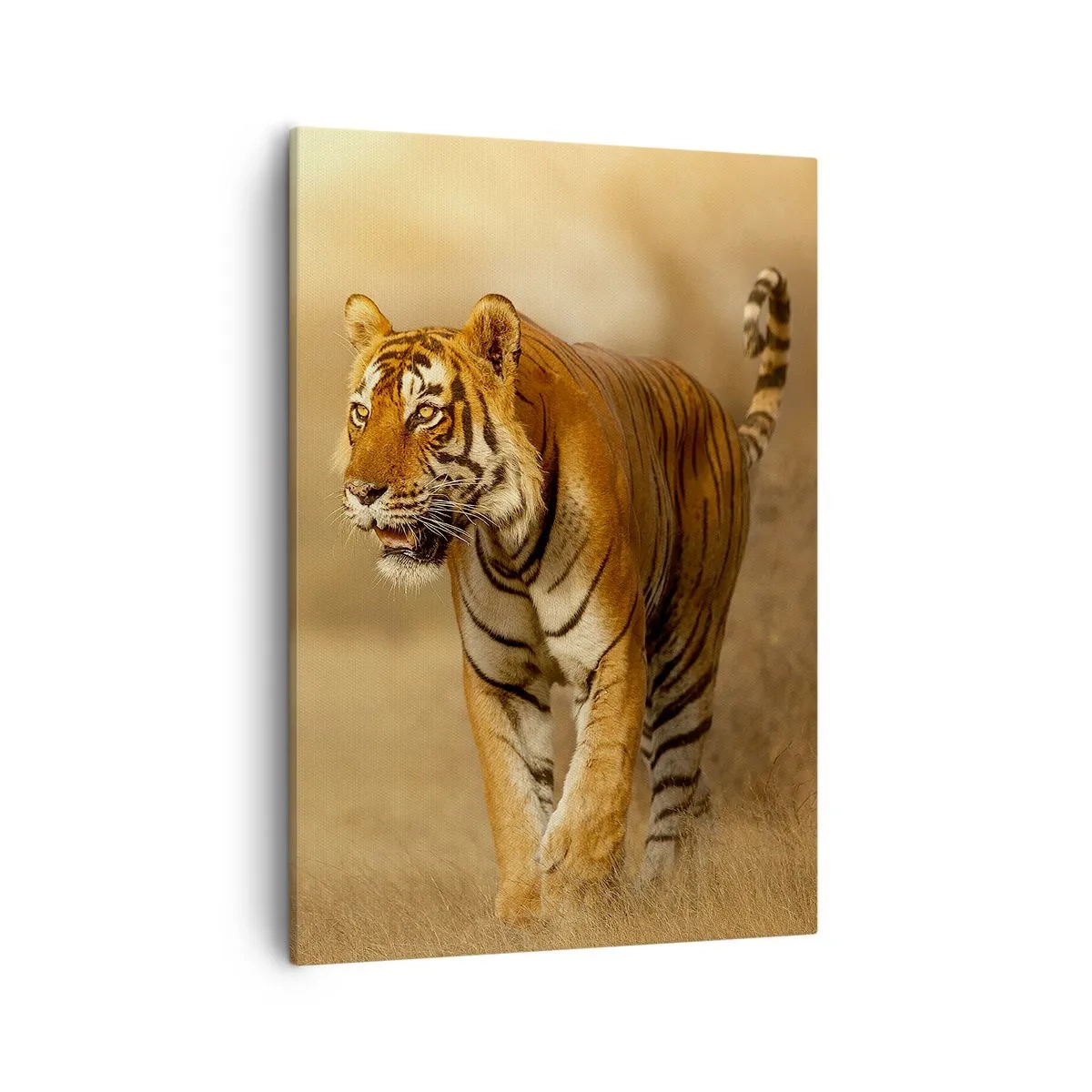 Canvas picture - Before Attack - 50x70 cm