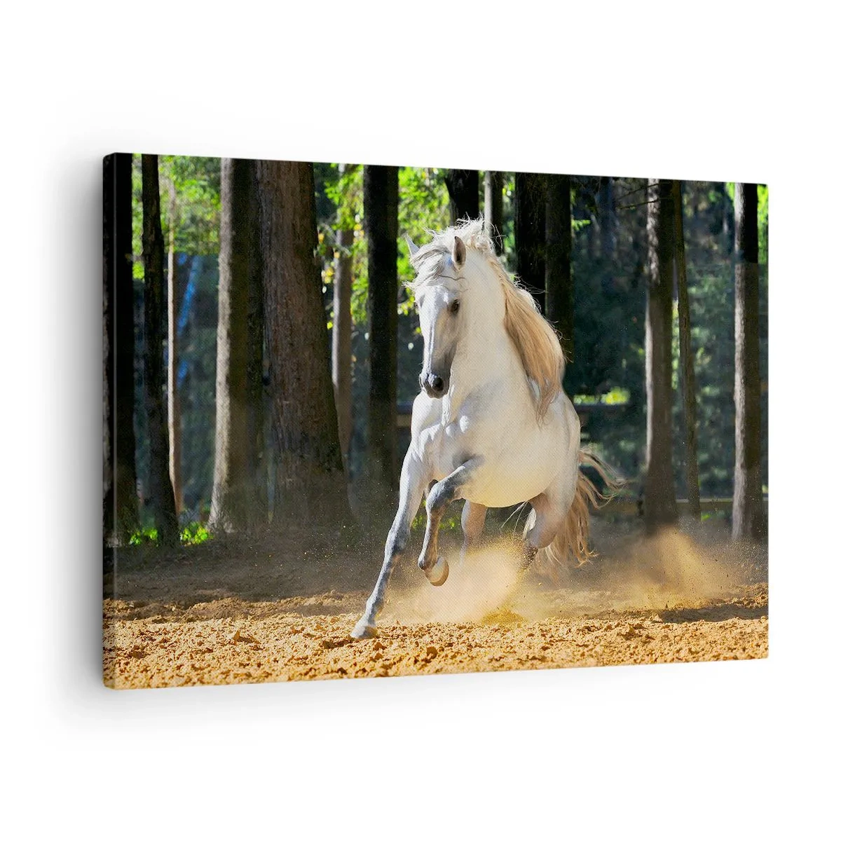 Canvas picture - A white horse galloping through a forest clearing - 70x50cm - Straight from a Fantasy Book - Modern wall decoration for the living room and bedroom ARTTOR