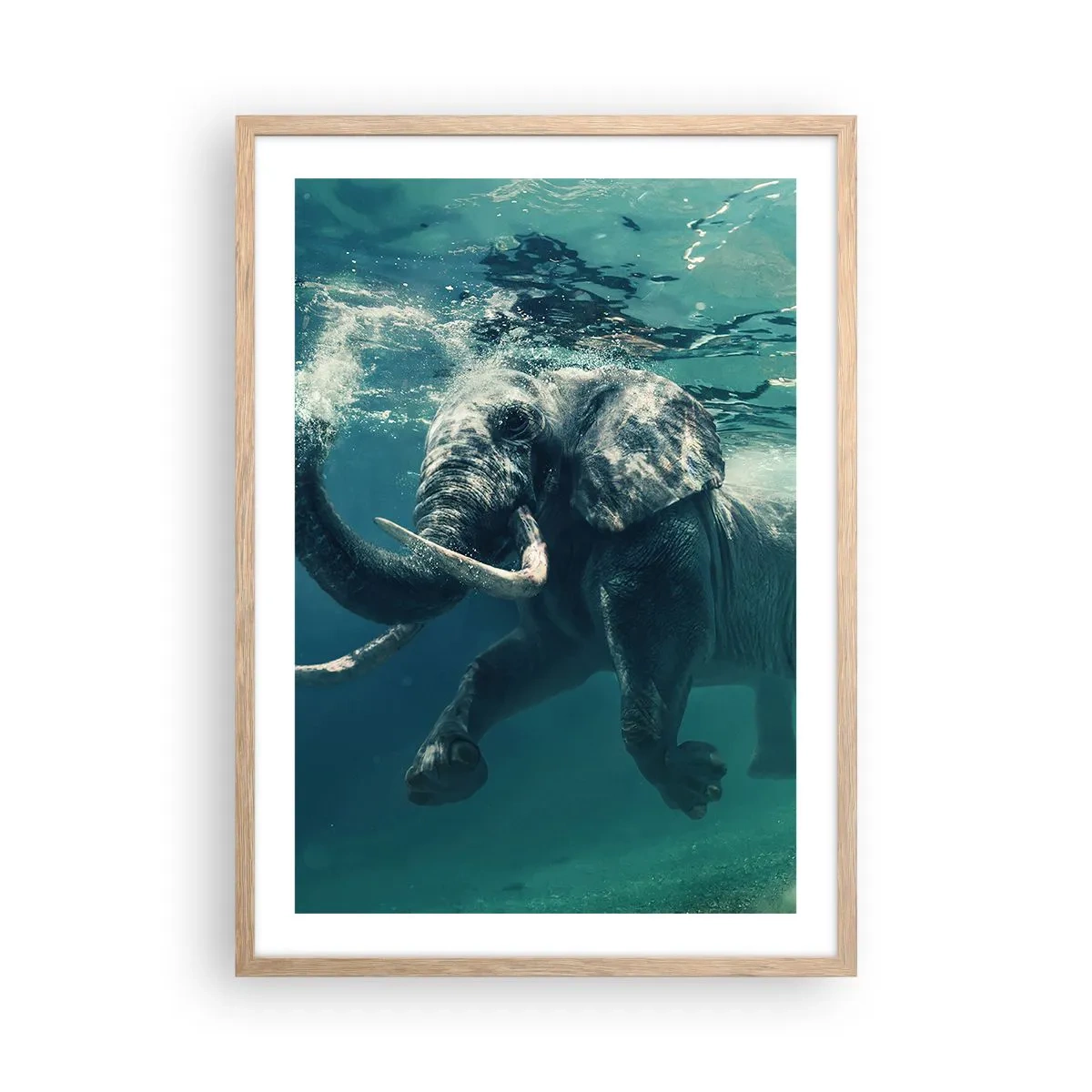 Poster in light oak frame - Everyone Likes to Swim - 50x70 cm