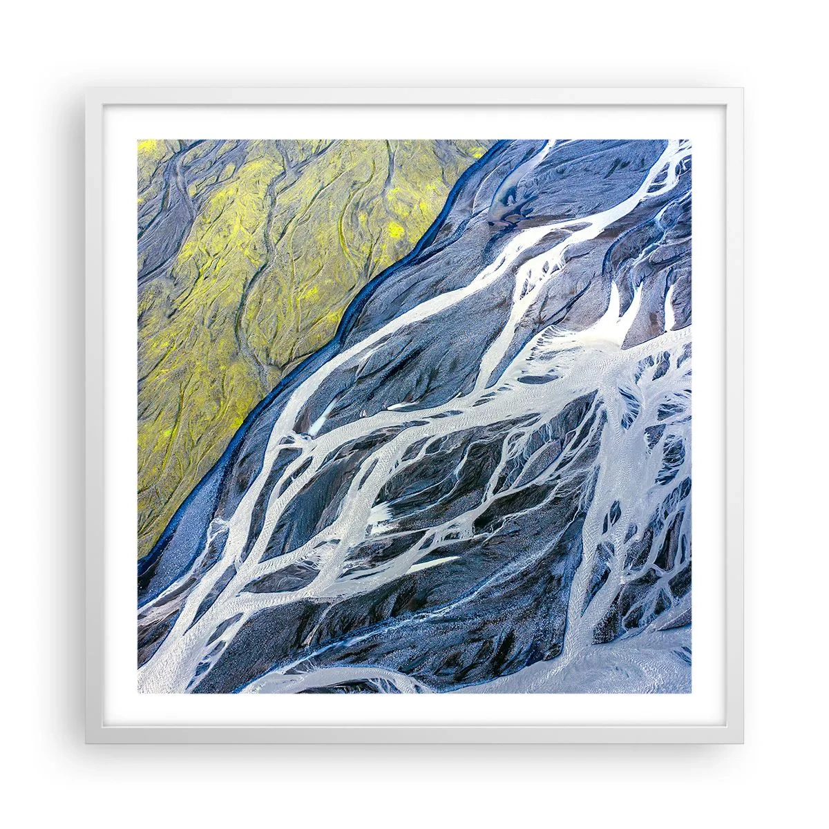Poster in white frmae - Cave Paintings of Nature - 60x60 cm