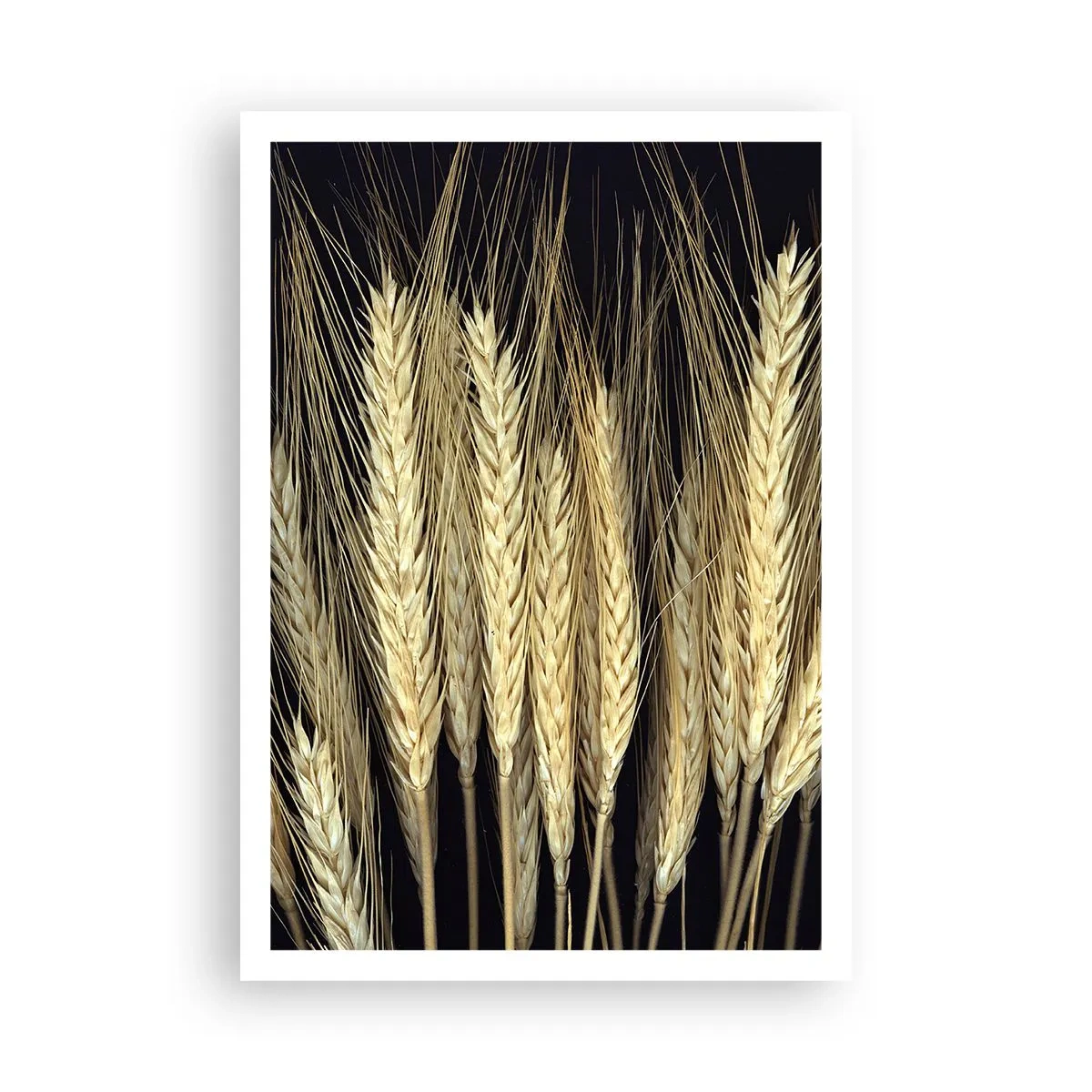 Poster - Rustic Magic - 70x100 cm