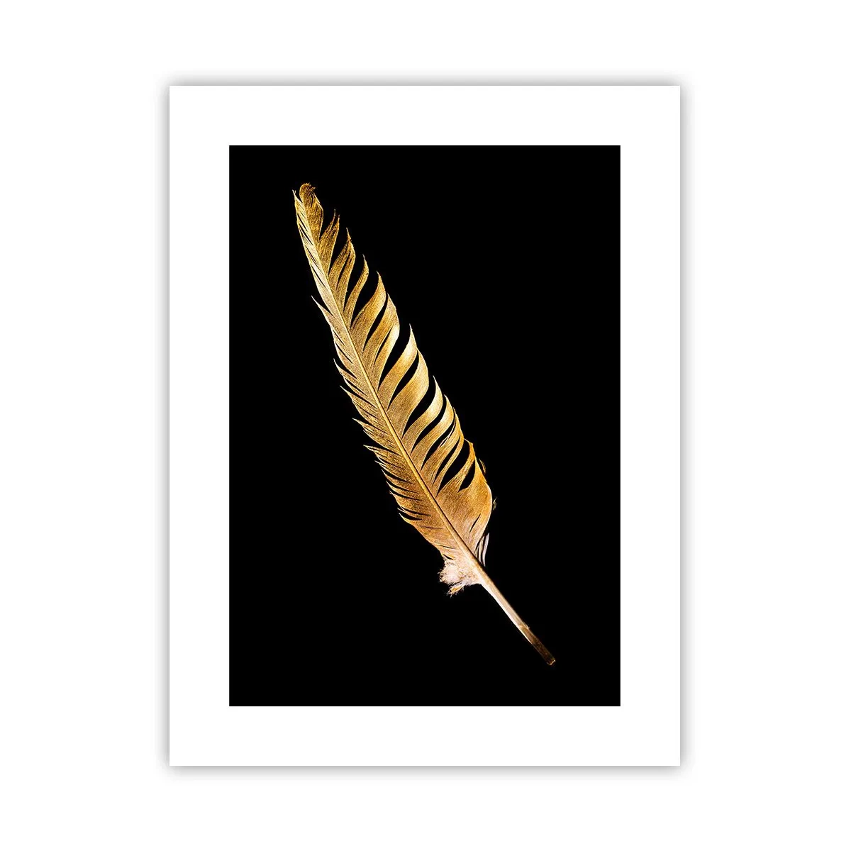 Poster - High-Class Feather - 30x40 cm