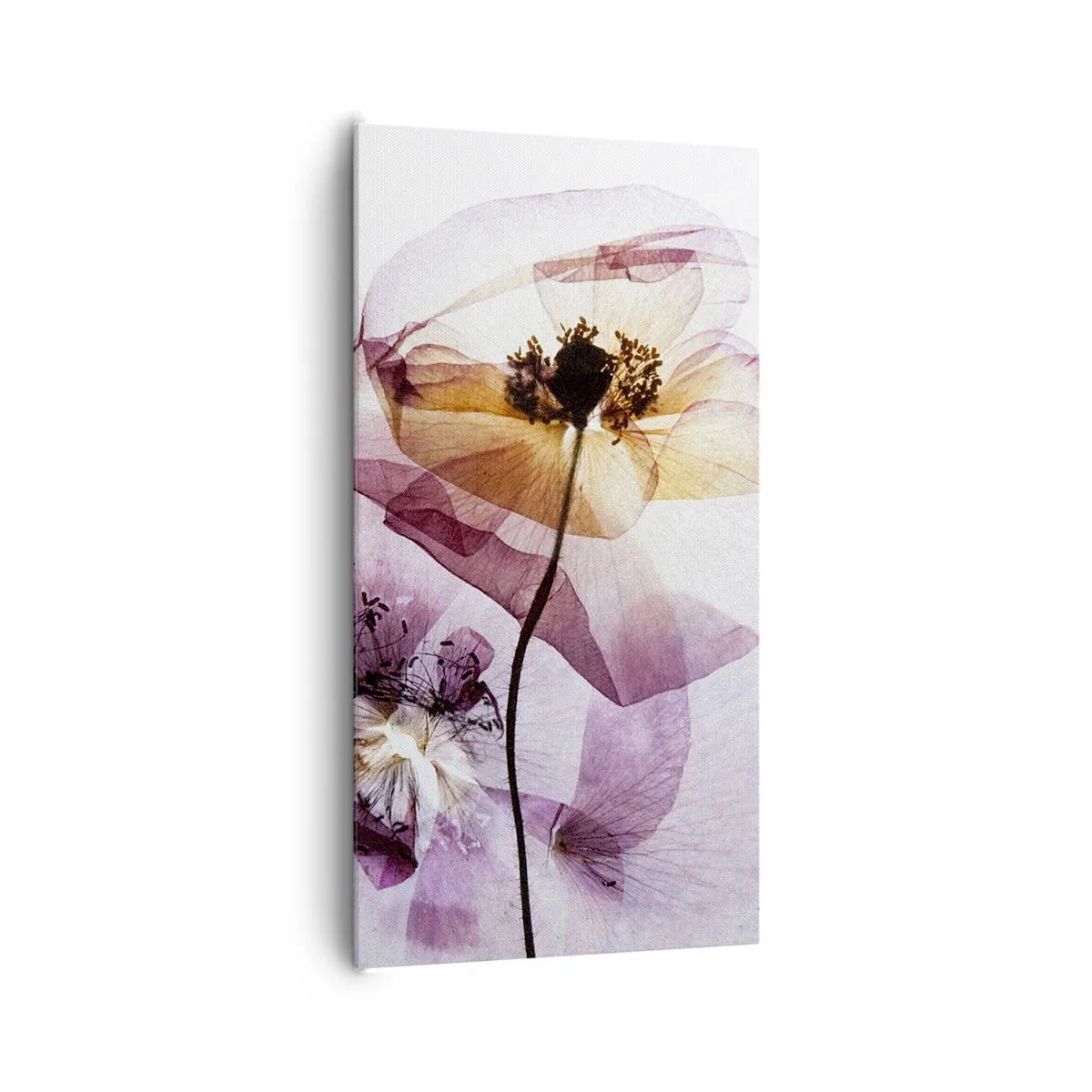 Canvas picture - Flower Body Slide - 65x120 cm