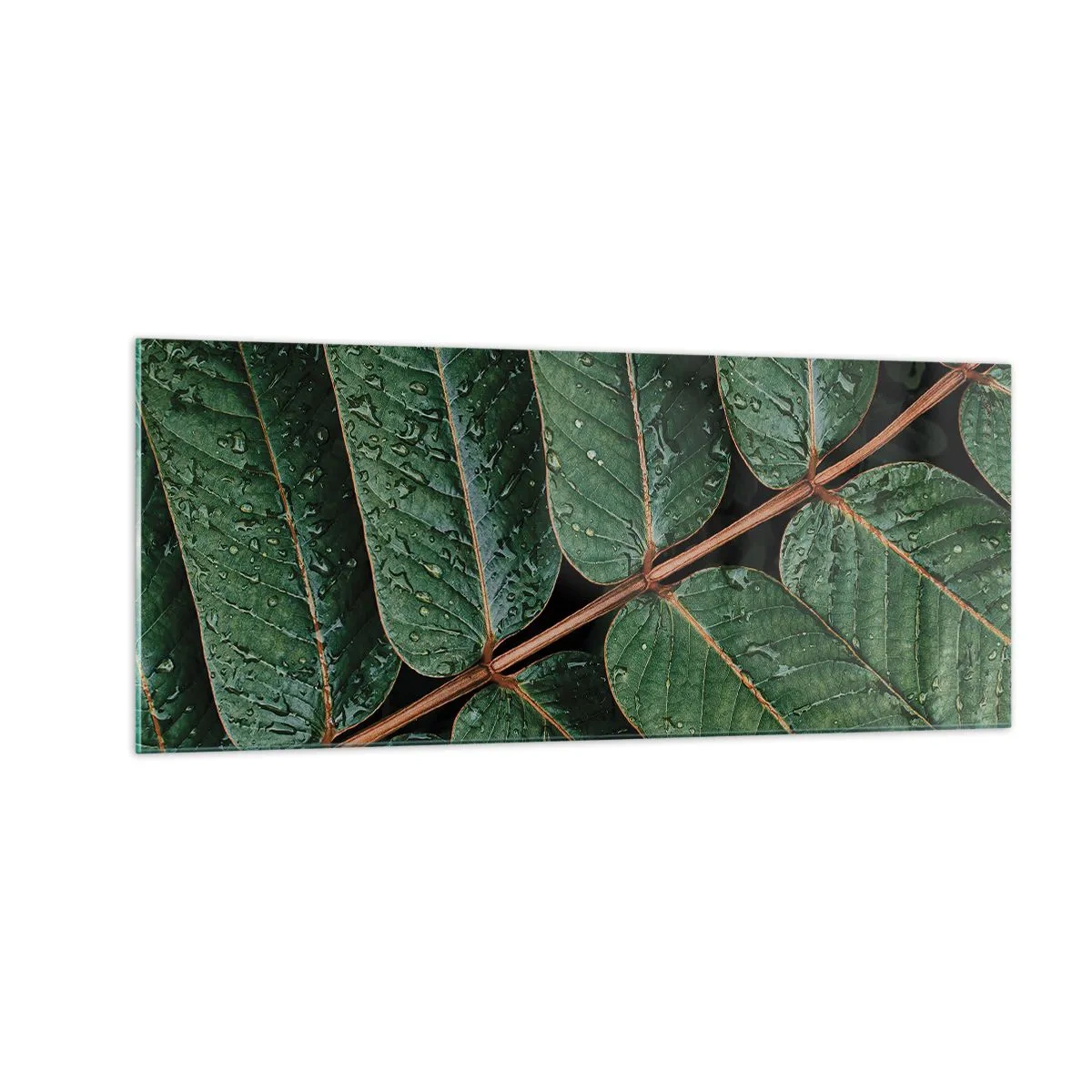 Glass picture - In Green Rhythm - 100x40 cm