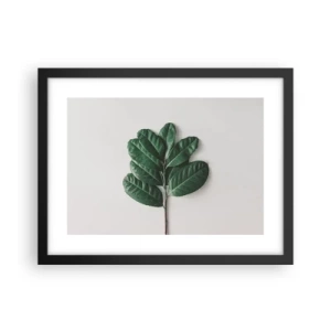 Poster in black frame - Drawing of Nature Itself - 40x30 cm