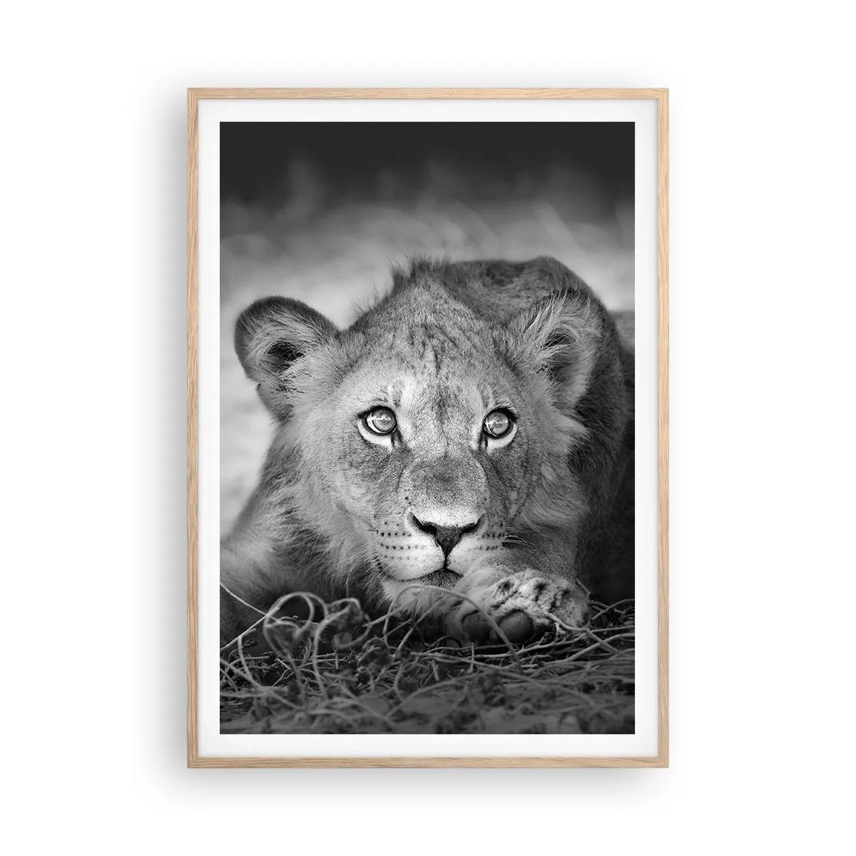Poster in light oak frame - Royal Puppy - 70x100 cm