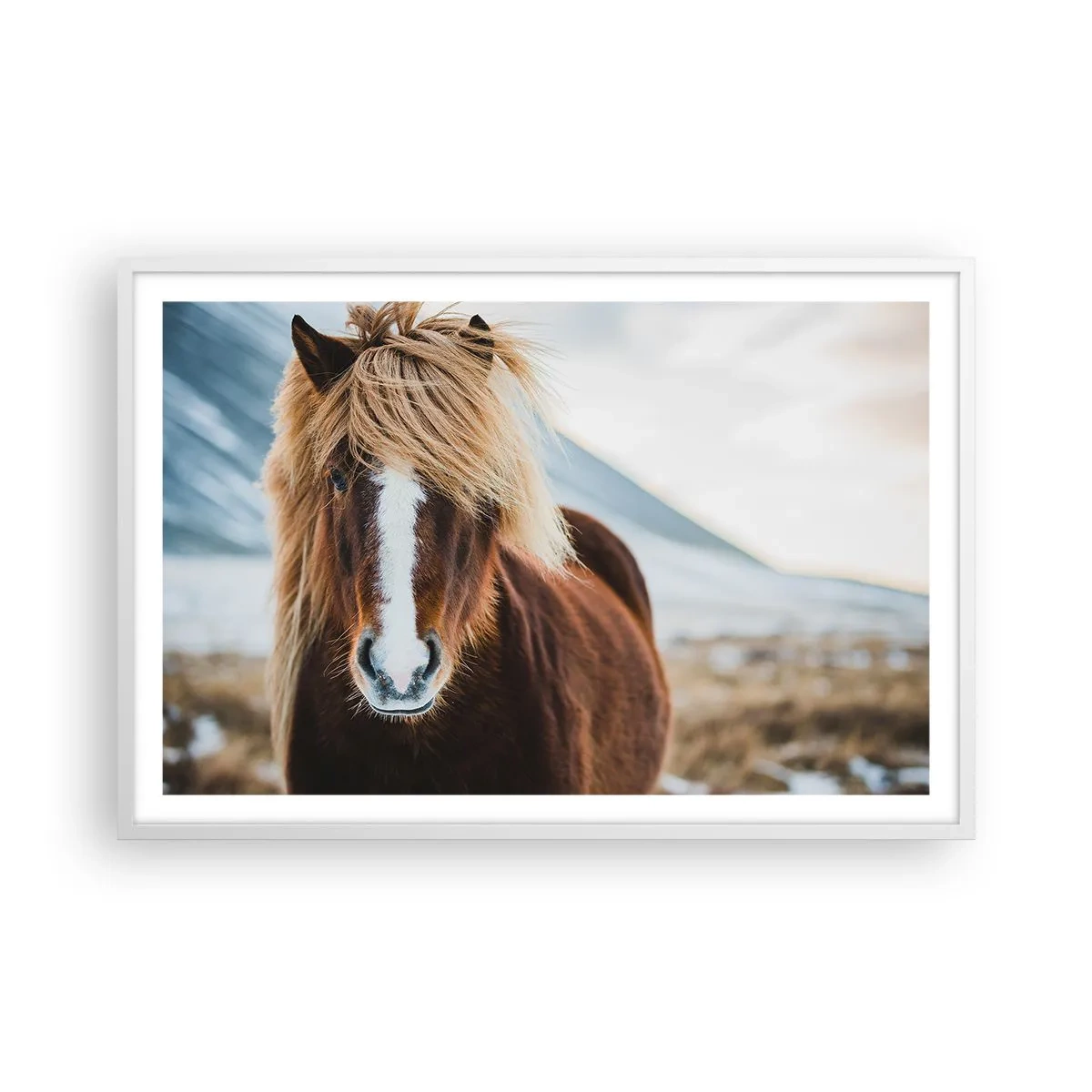 Poster in white frmae - Can You Feel the Freedom? - 91x61 cm