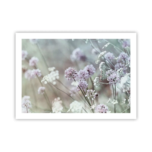 Poster - Sweet Filigrees of Herbs - 70x50 cm