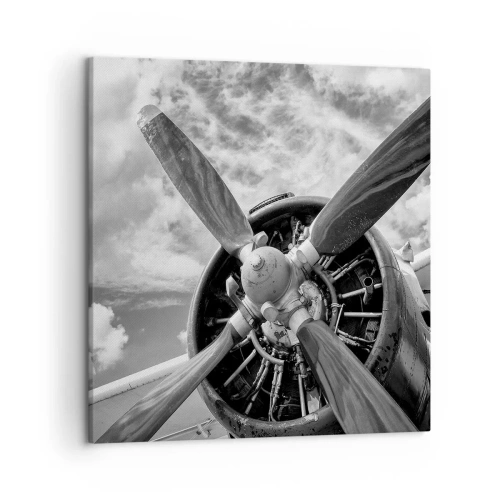 Canvas picture - Conquerer of the Skies - 50x50 cm