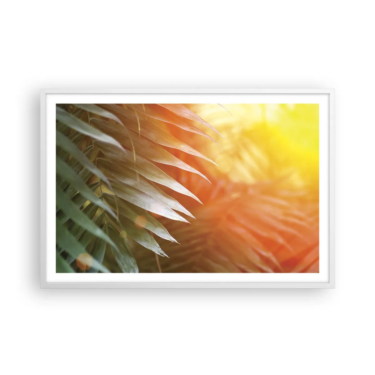 Poster in white frmae - Morning in the Jungle - 91x61 cm