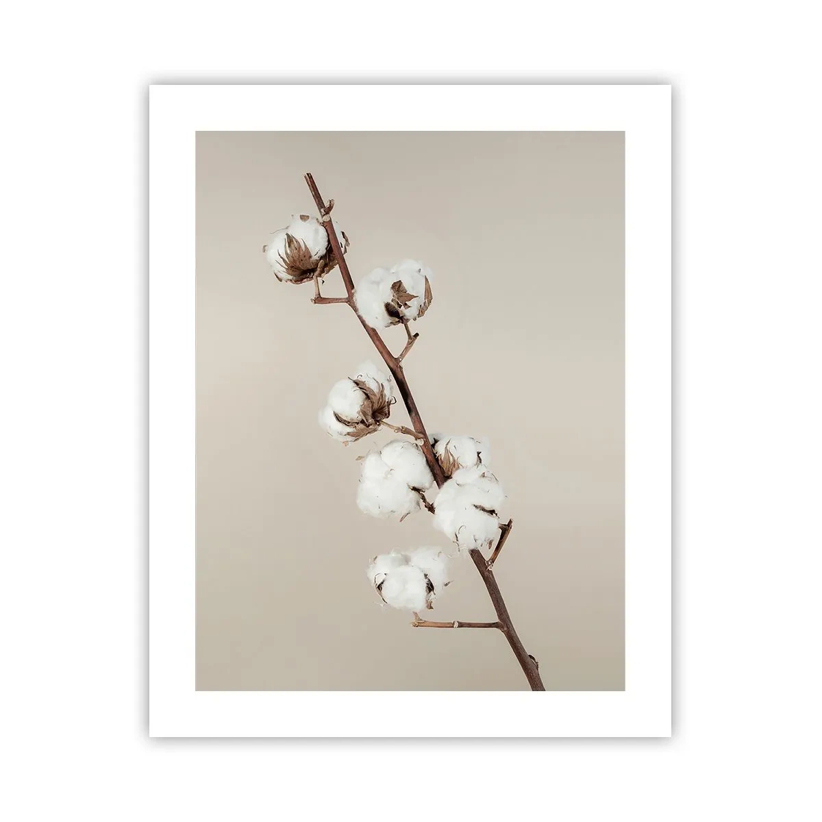 Poster - At the Heart of Softness - 40x50 cm