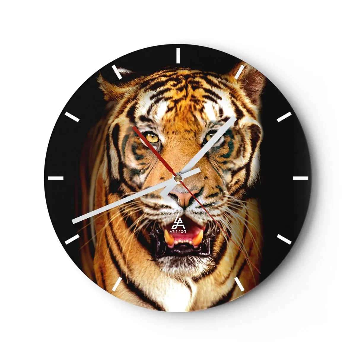 Wall clock - Clock on glass - Portrait of a fierce tiger with an intense gaze - 30x30cm - Wild at Heart - Modern wall decoration for the living room, kitchen, and bedroom ARTTOR