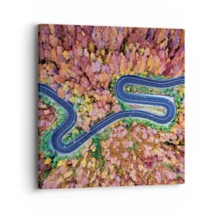 Canvas picture - Winding Path through a Forest - 40x40 cm