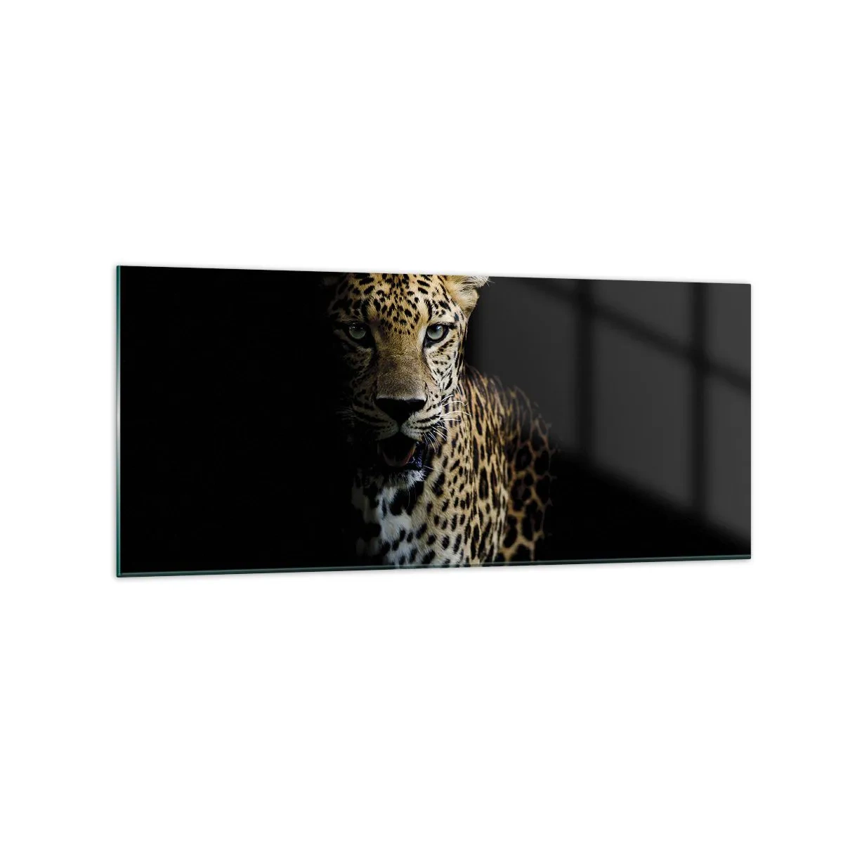 Glass picture - Dark Beauty - 120x50 cm
