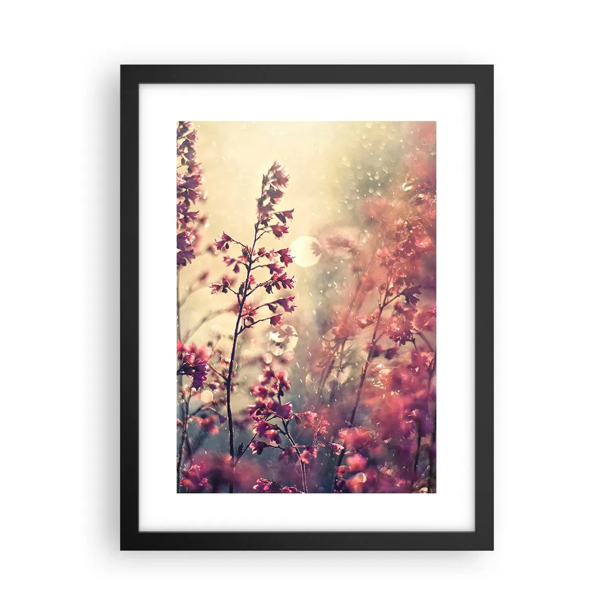 Poster in black frame - Secret Garden - 30x40 cm