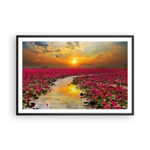 Poster in black frame - Secret Life of a Lake - 91x61 cm