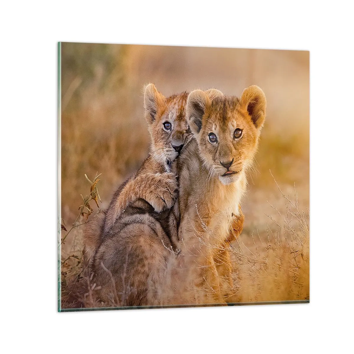 Glass picture - Do Not Disturb! We Are Playing - 60x60 cm