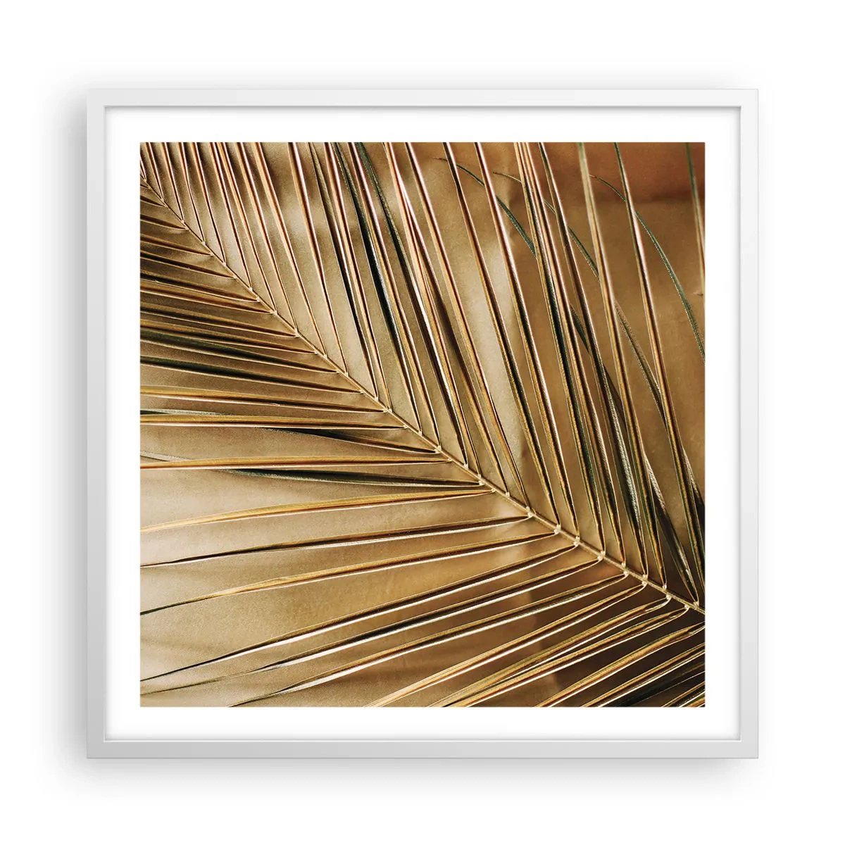 Poster in white frmae - Natural Colonnade - 60x60 cm