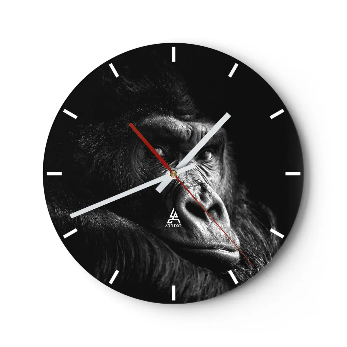 Wall clock - Clock on glass - What Are You Looking At? - 40x40 cm