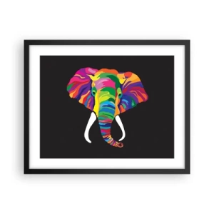 Poster in black frame - Elephant That Enjoyed Rainbow Bath - 50x40 cm
