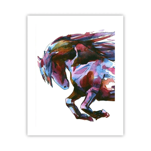 Poster - In Elation - 40x50 cm