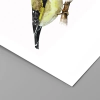 Unframed