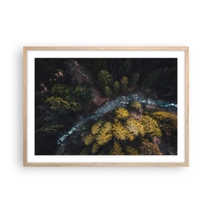 Poster in light oak frame - Fast and Faster - 70x50 cm