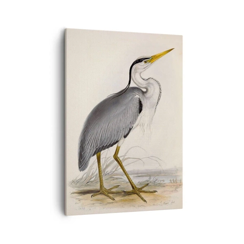 Canvas picture - Charm of a Heron - 50x70 cm