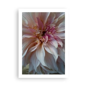 Poster - Blooming Freshness - 50x70 cm