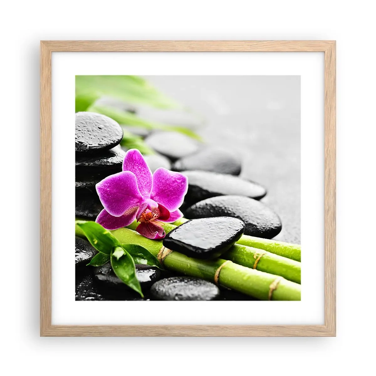 Poster in light oak frame - In a Peaceful Balance - 40x40 cm