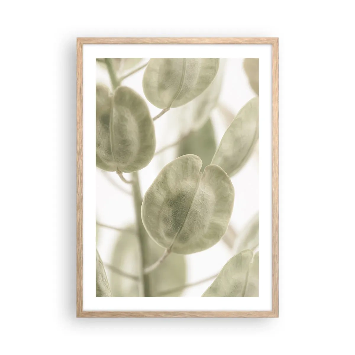 Poster in light oak frame - In the Beginning There Were Leaves… - 50x70 cm