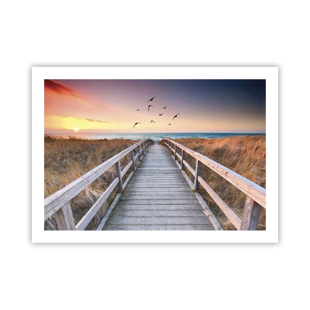 Poster - Space of Highs - 70x50 cm