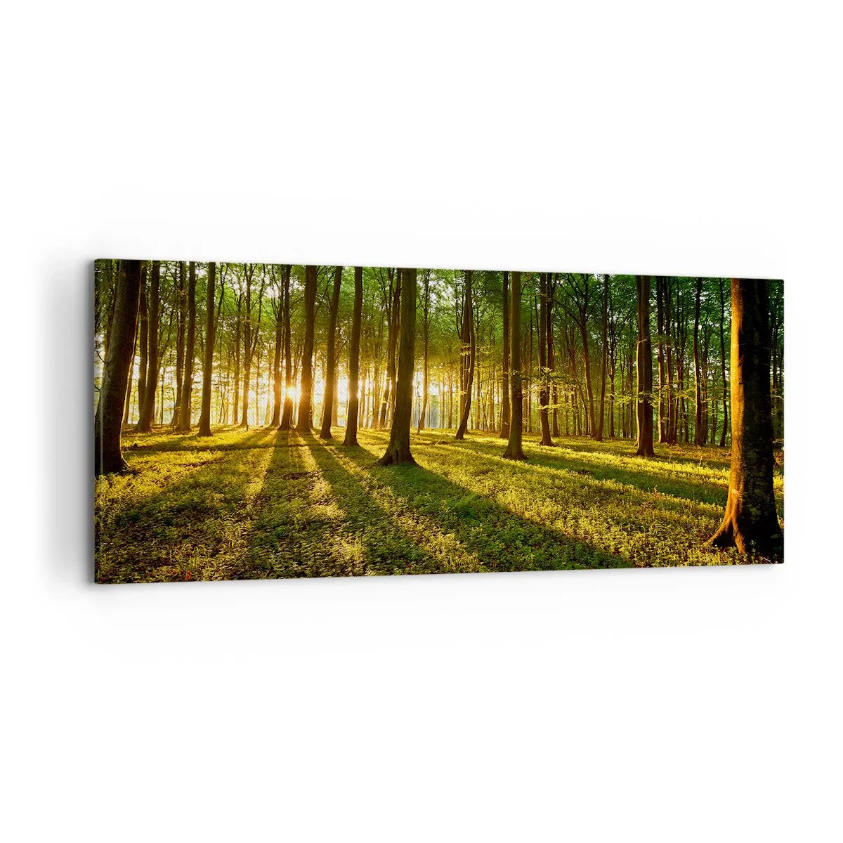 Canvas picture - Photography of All Springs - 120x50 cm