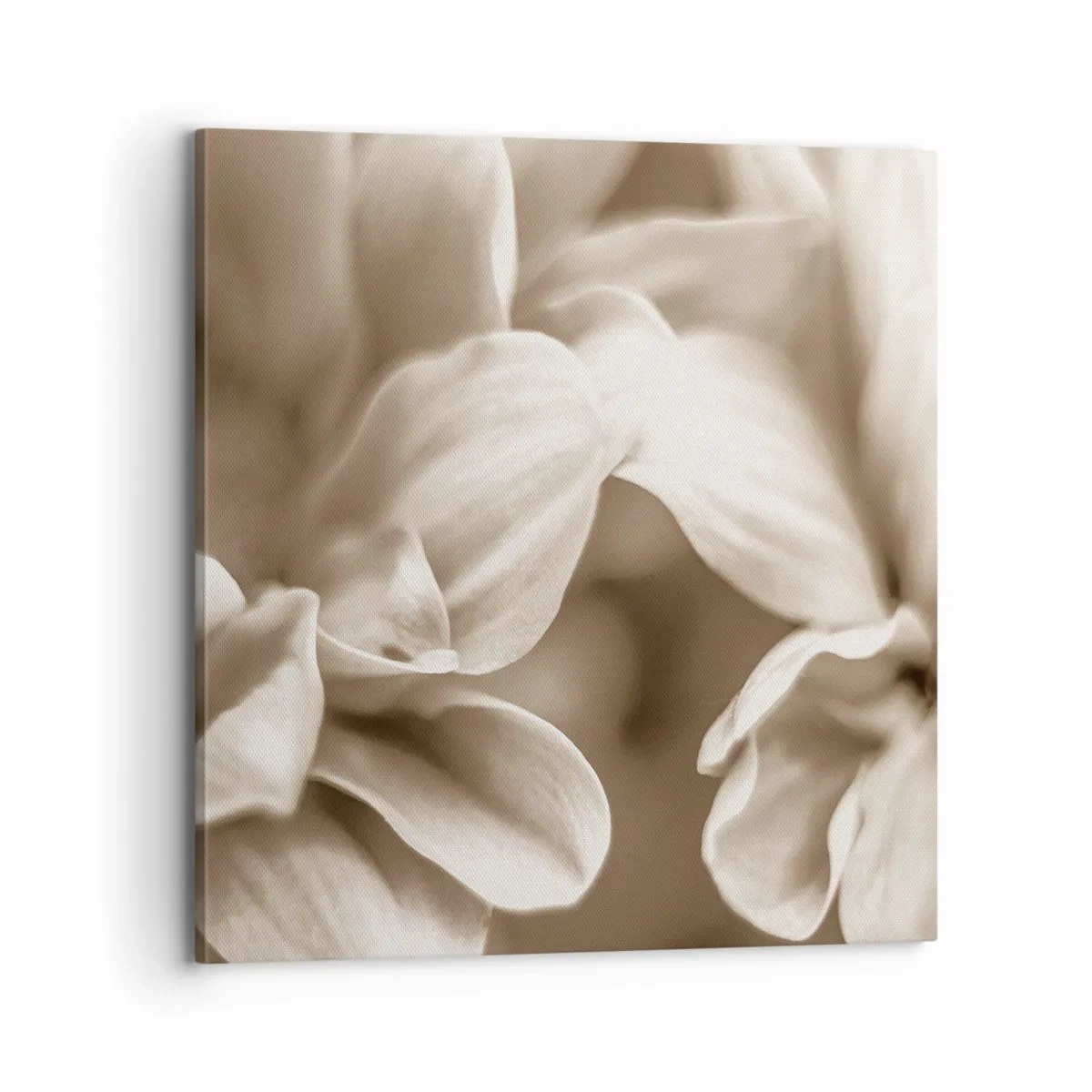 Canvas picture - Soft as a Smile - 70x70 cm