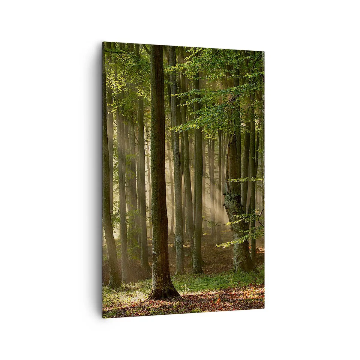 Canvas picture - Beaming in Spring Morning - 80x120 cm
