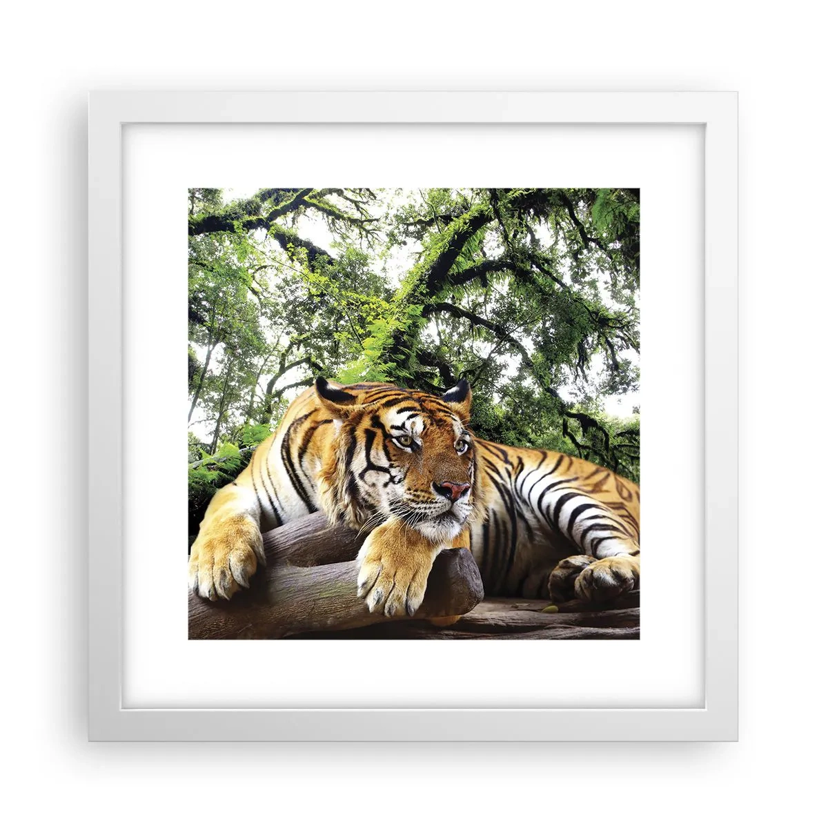 Poster in white frmae - Best Regards - 30x30 cm