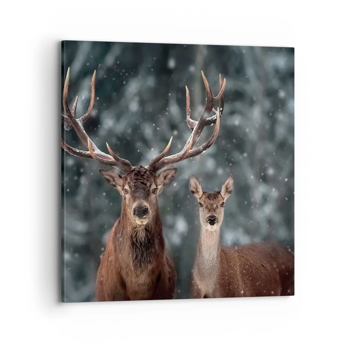 Canvas picture - Master of the Forest with His Wife - 70x70 cm